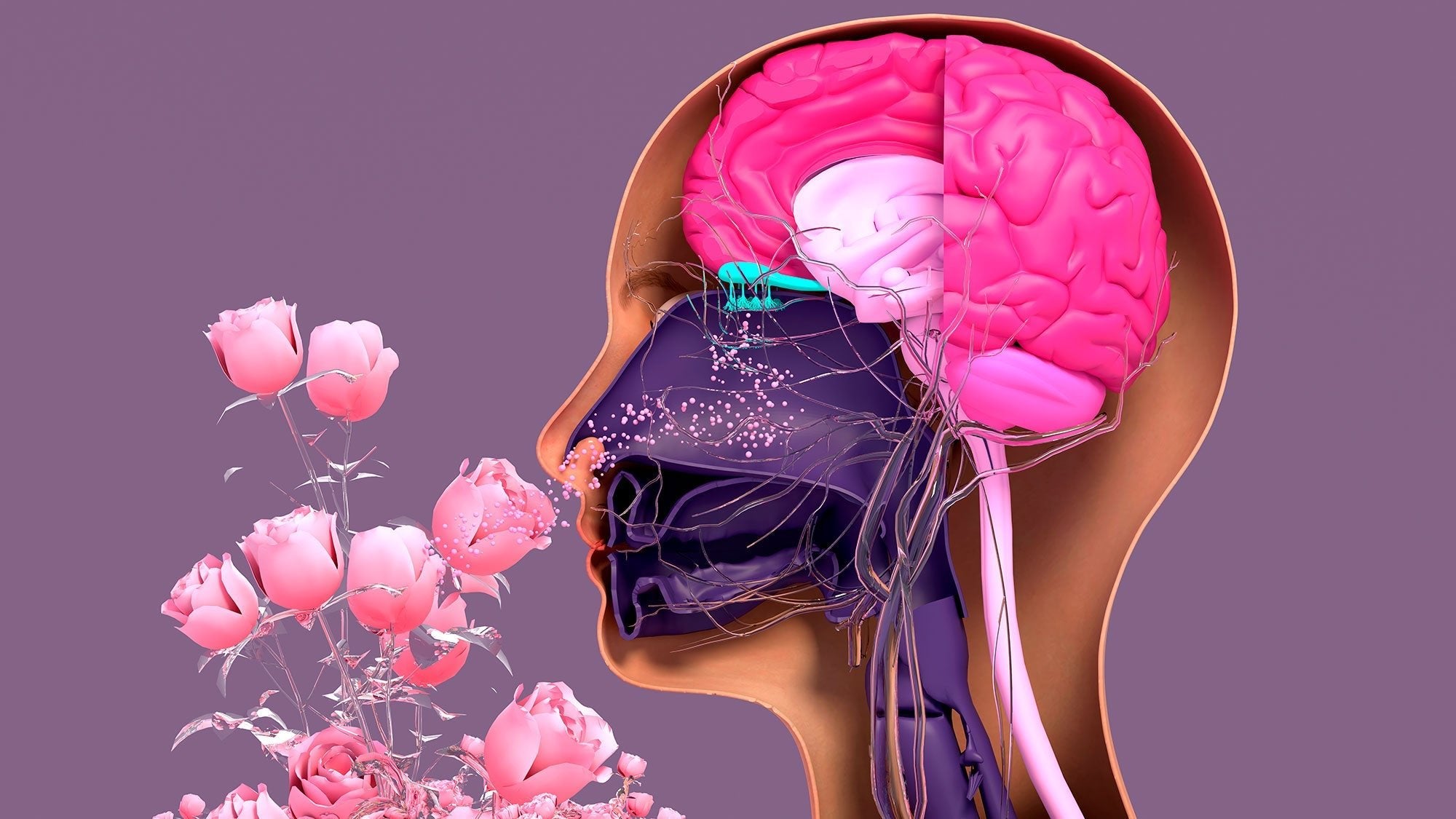 The Art of Scent: How Reed Diffusers Transform Your Living Space - Elle Cadeaux