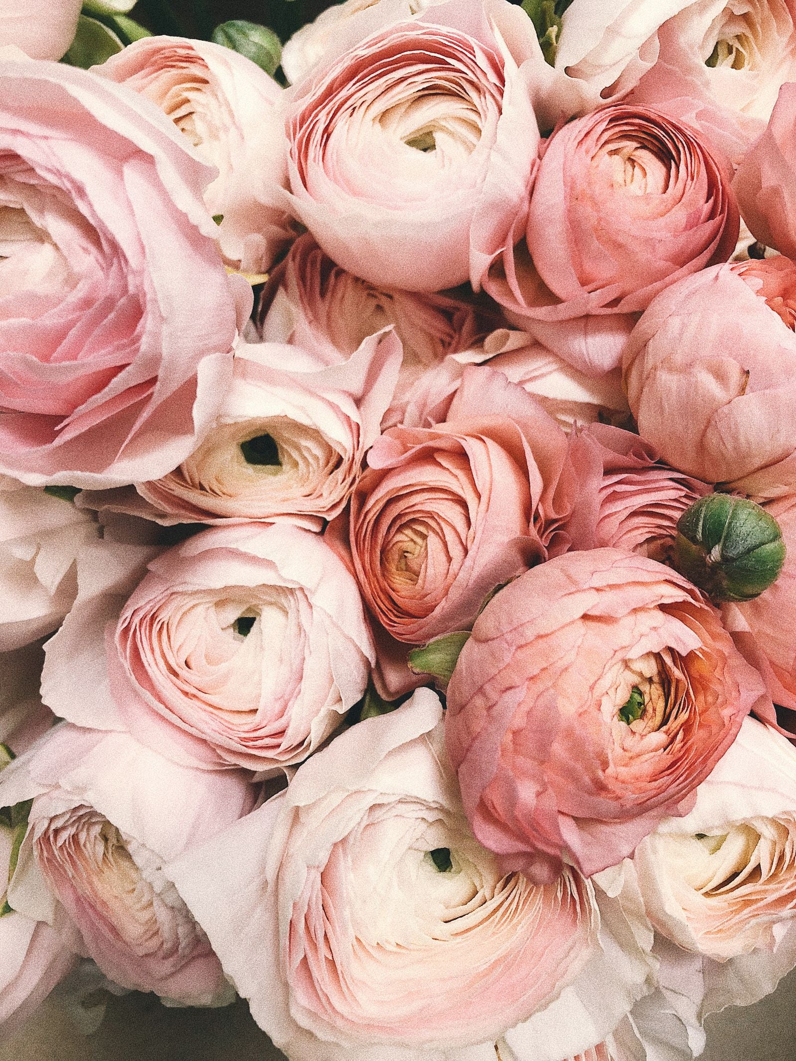 White Jasmine vs. White Tea: Choosing Your Signature Scent — elegant fresh flower bouquet