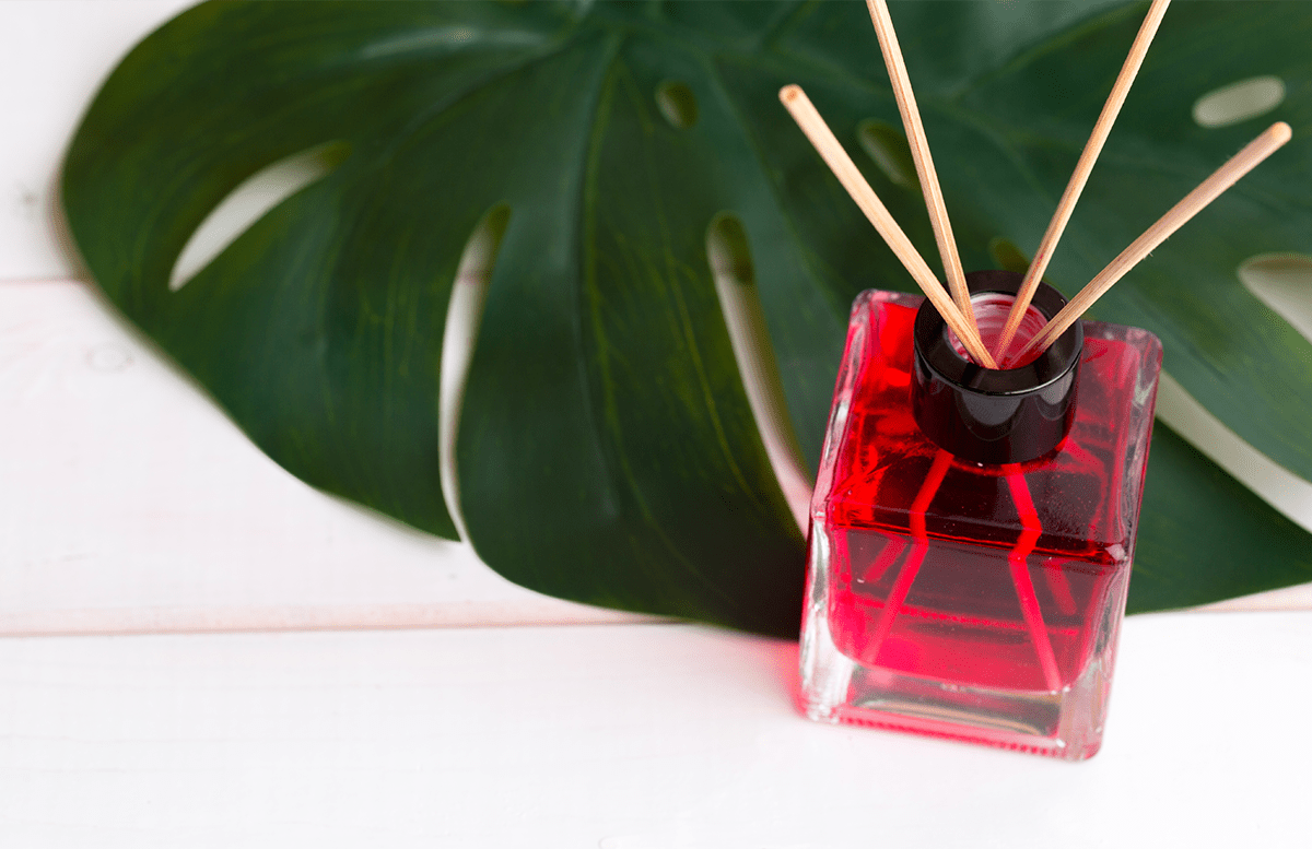 The Psychology of Scent: How Fragrances Influence Mood and Memory - Elle Cadeaux
