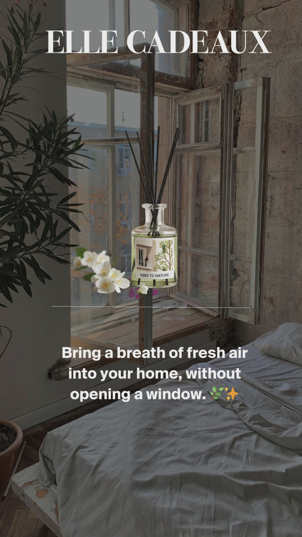 White Jasmine luxury reed diffuser product video