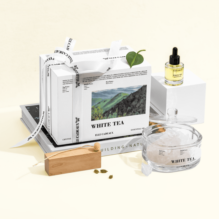 White Tea Crystal Diffuser Gift Set with white crystal stones and fragrance oil by Elle Cadeaux
