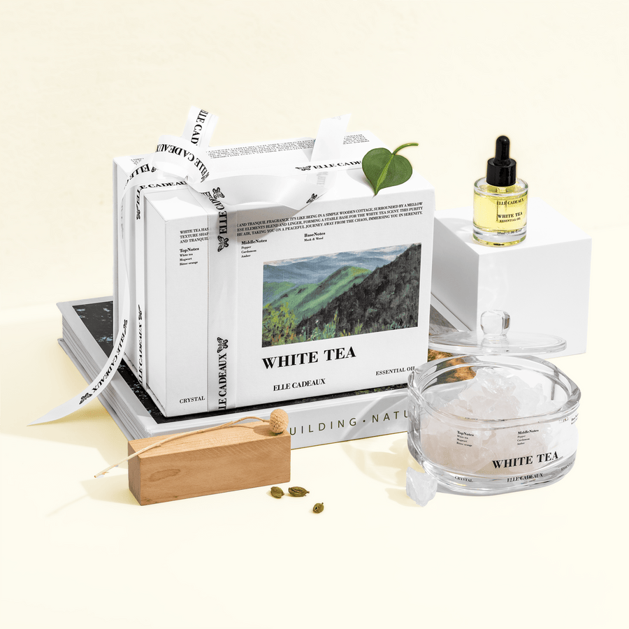 White Tea Crystal Diffuser Gift Set with white crystal stones and fragrance oil by Elle Cadeaux